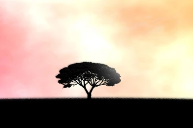 Desktop Wallpapers · Gallery · Windows 7 · Loneliness