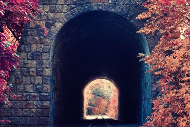 Autumn Train Tunnel Red Leaves Android Wallpapers Free Download