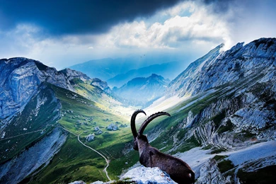 Mount Pilatus Wallpapers