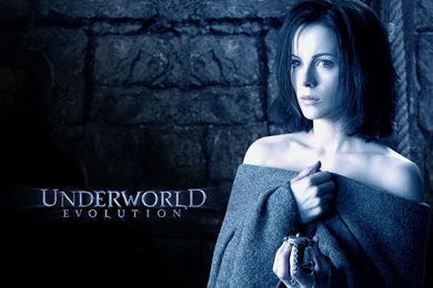 Evolution Wallpapers