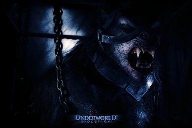 Index Of /images/Films/Autres/fonds