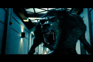 Underworld: Evolution Computer Wallpapers, Desktop Backgrounds ...