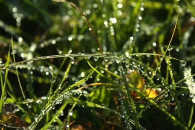 Free Desktop, Tablet And Ipad High Res Wallpapers Page 3