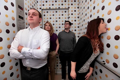 Dessert Girl: McVitie's Jaffa Cakes Wallpapers