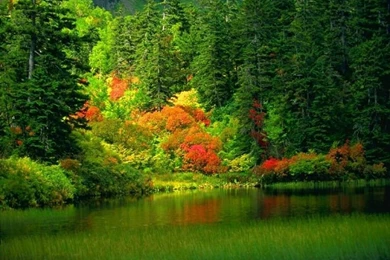 Awesome Beautiful Scenery Agfithfm