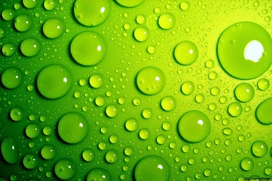 HD Water Droplet Wallpapers   HD Wallpapers