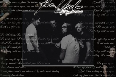 The Used Wallpapers By Theused fans On DeviantArt