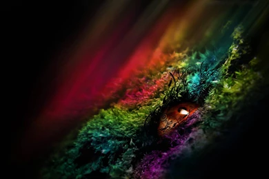 The Simpsons Wallpapers [2]   (