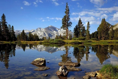 1366x768 Desktop HD Wallpapers 8846   HD Wallpapers Site