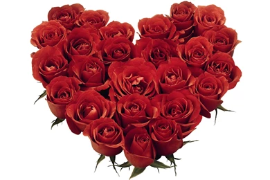 Images Of Flowers And Roses