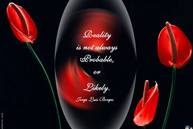 Free Flowers Photo And Wallpapers: Red Rose Flowers Pictures ...