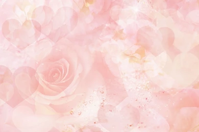 Pink Rose Backgrounds   Wallpapers Cave