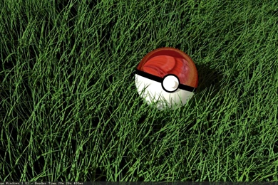 Pokemon Pokeball Wallpapers Lold Wallpapers Funny Pictures Funny ...