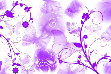 Purple Butterfly Wallpaper Backgrounds – Wallpapers