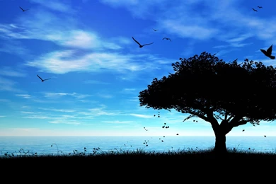 Share Your Wallpapers   Page 28