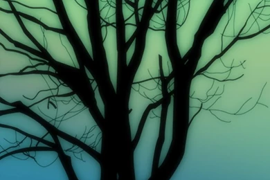 Silhouettes iPhone 5s Wallpapers