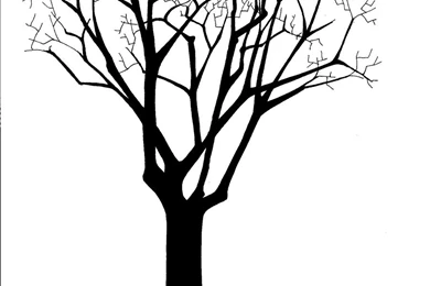 Tree Silhouette Hd Wallpapers Placecom   ClipArt Best   ClipArt Best