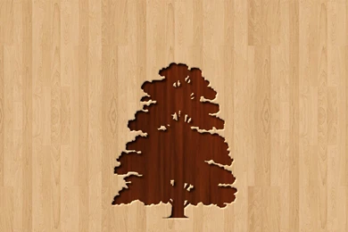 Tree Silhouette 1680x1050 No Your Not Limited To Rectangles ...