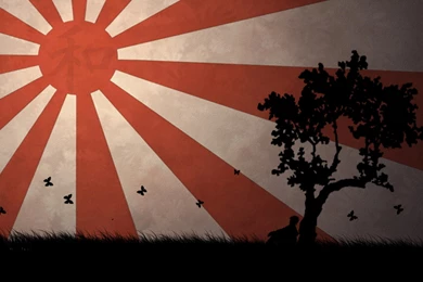 Download Trees Silhouette Wallpapers 1680x1050