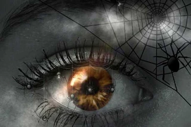 Terror Wallpapers   Android Apps And Tests   AndroidPIT