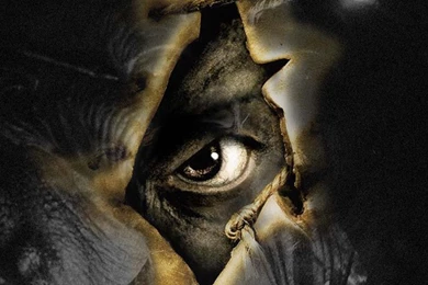 Wallpapers De Terror Hd   Taringa!