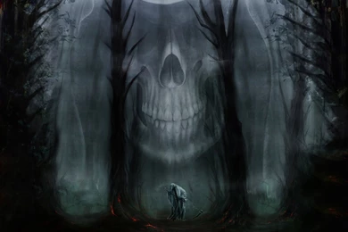 Wallpapers Bosque De Terror Descargar Wallpapers En HD
