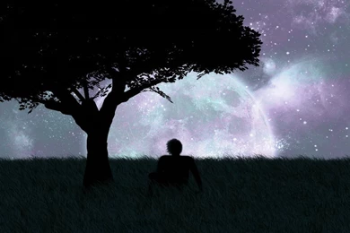 Moon With Tree Silhouettes Wallpaper_other_health Questions ...