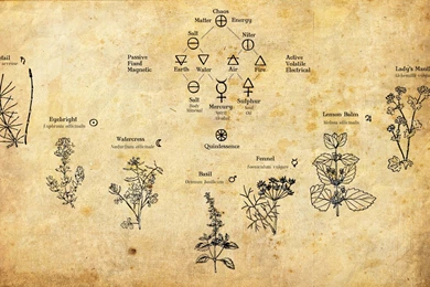 Ow.ly   Image Uploaded By @FaenaAleph