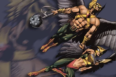 Hawkman And Hawkgirl   Funkyrach01 Wallpapers (15338852)   Fanpop