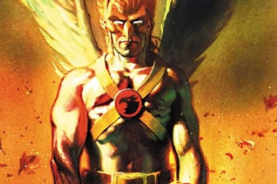 Download Free Cartoons Wallpapers Hawkman I4 With Size 640x960 ...