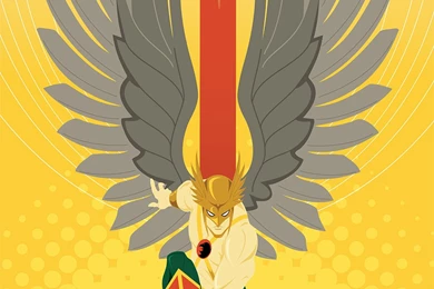 Hawkman And Hawkgirl By ReillyBrown On DeviantArt