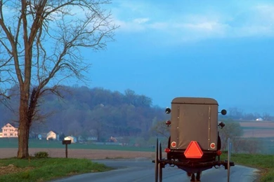 Pennsylvania Lancaster Amish Buggy Complex Magazine Wallpapers ...