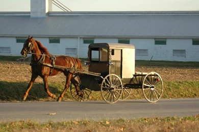 Amish Horse And Buggy In The Snow Amish Horse And 1472x1168 ...