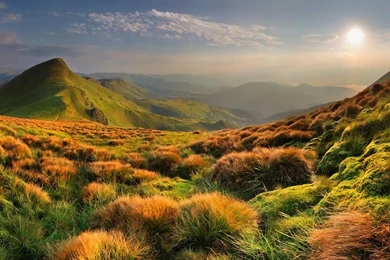 Green Valley Wallpaper, Bonnet Rippers, Country Kitchen