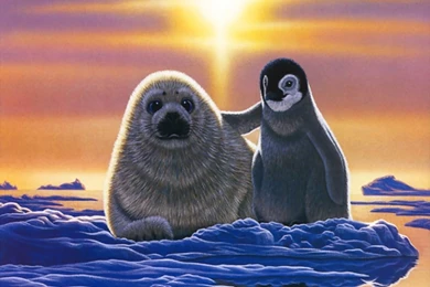 Seal And Baby Penguin Wallpapers   HD Wallpapers 3139