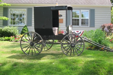 The Amish In The City