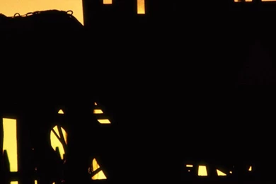 Amish Horse Drawn Buggy Pennsylvania Some