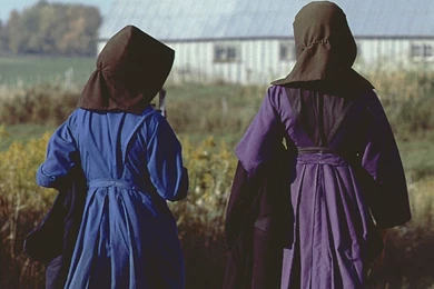 Delila Miller And Fannie Miller: Search For Amish Girls Ends With ...