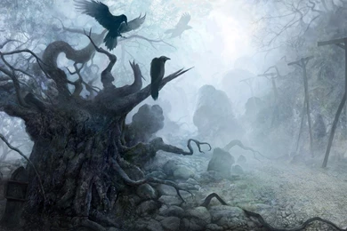 Fantasy Backgrounds Free Download