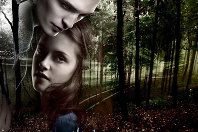 Download Wallpapers Bella Home   Edward Bella Wallpapers Twilight ...