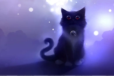 Black Cat Wallpapers K5N6F   Free HD Wallpapers
