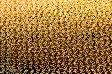 Royalty Free Photos Free   Wallpapers HD Base