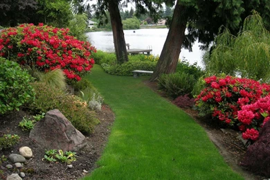 Flower Garden Backgrounds   Wallpapers Cave