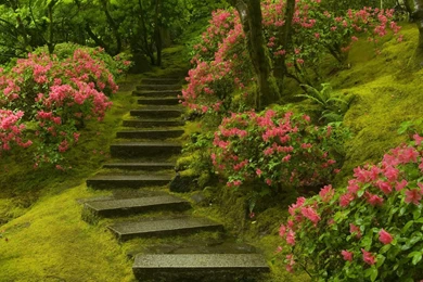 Garden Computer Wallpapers, Desktop Backgrounds