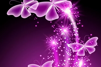 Shining Butterfly Wallpapers And Images   Wallpapers, Pictures, Photos