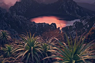 Tortuga. On Twitter: "@SoaRCaesars You're A Fucking God. I Love ...