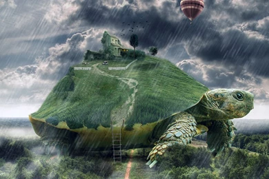 1366x768 Turtle Landscape Surreal Desktop PC And Mac Wallpapers