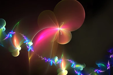 Shining Flowers   Flikie Wallpapers