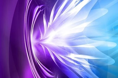 Shining Flowers Live Wallpapers   Android Apps On Google Play