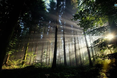 Top The Shining Wallpapers Wallpapers